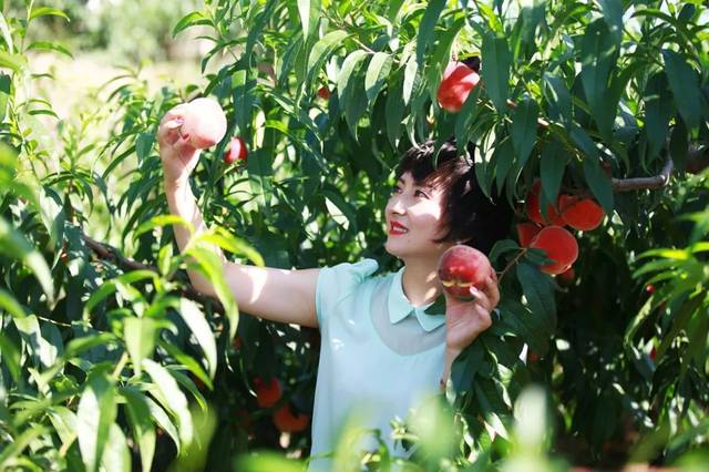 久久久久久精品影院妓女一区二区 配合智能环境控制系统