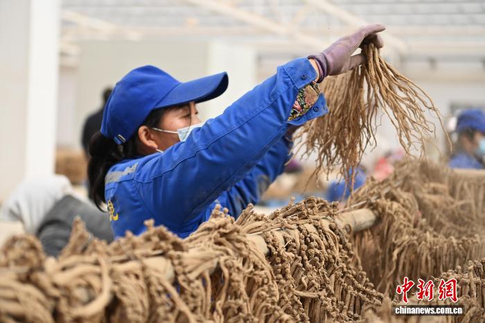 精品视频久久国产成人