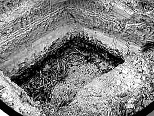 久9视频这里只有精品8海报