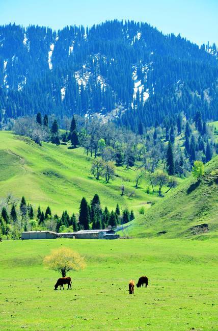 高清里番在线观看