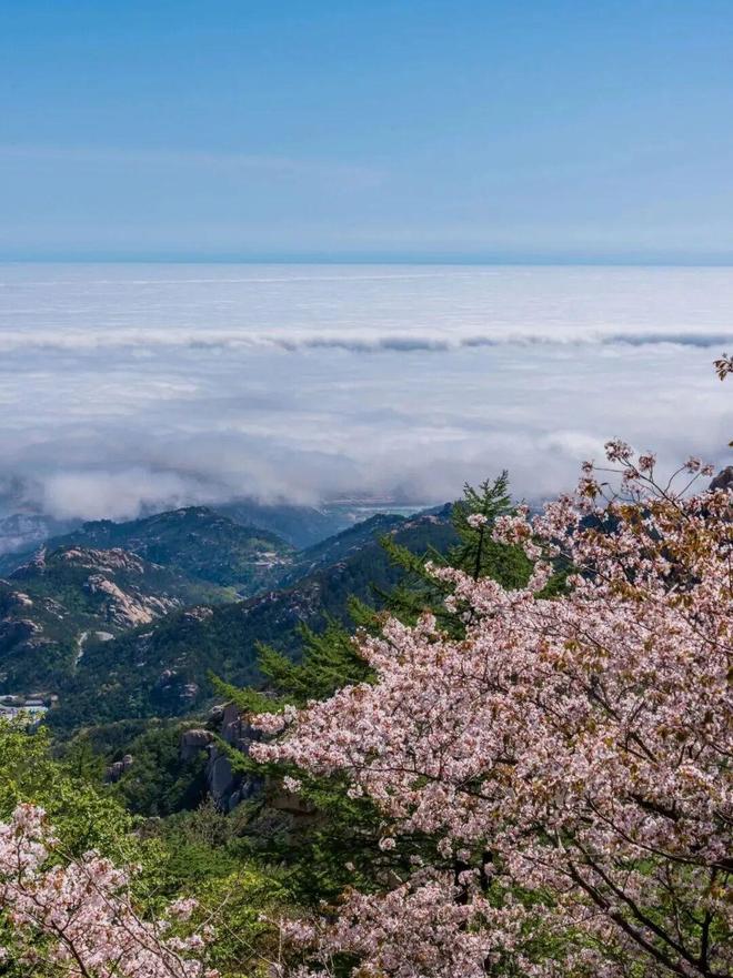 99国产精品99久久久久久