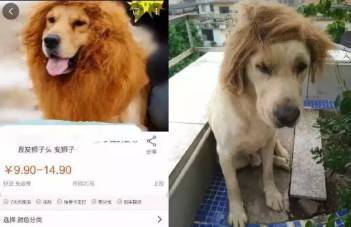 最近新免费韩国视频图片海报