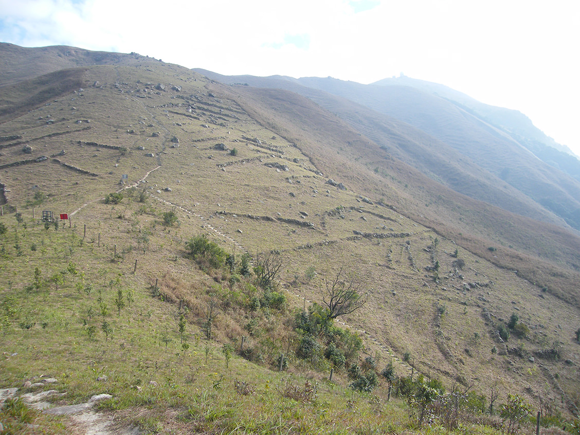 秘密研究所正在跳转海报