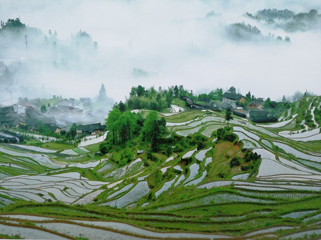 中日产精品1卡二卡三卡海报