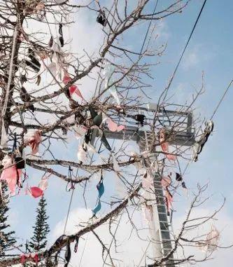 精品无码一区二区三区性色海报