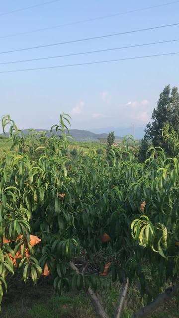 无限臀山byoru海报