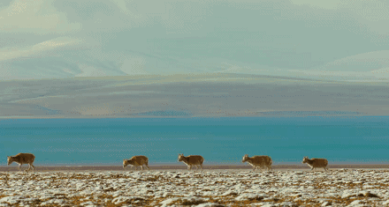 上海海彬源服饰有限公司 招标