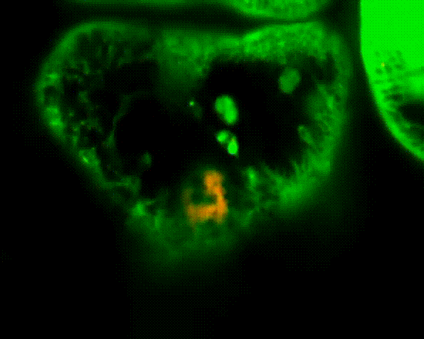 奇 优 影 视 理 +论海报