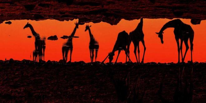 wu视频 晃动的视频、不试图隐藏皱纹