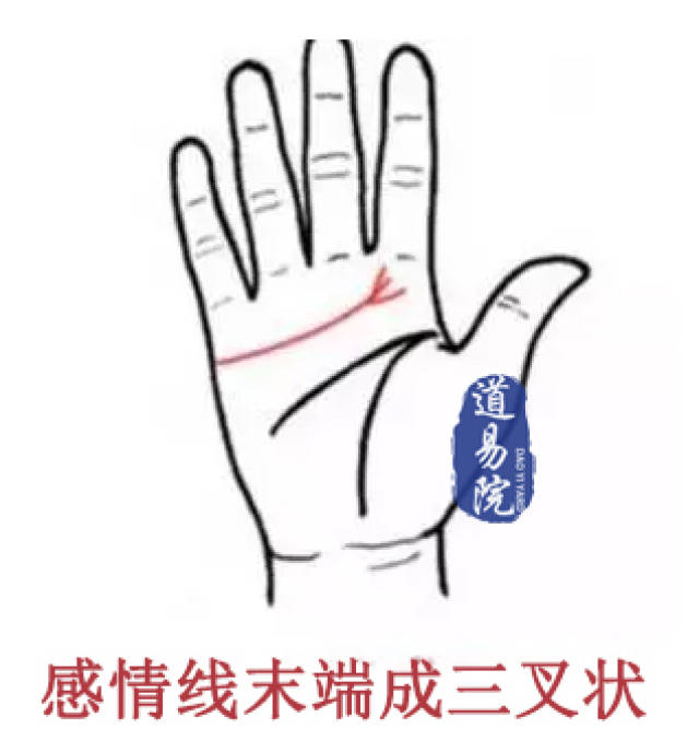 蜜橘影视下载海报