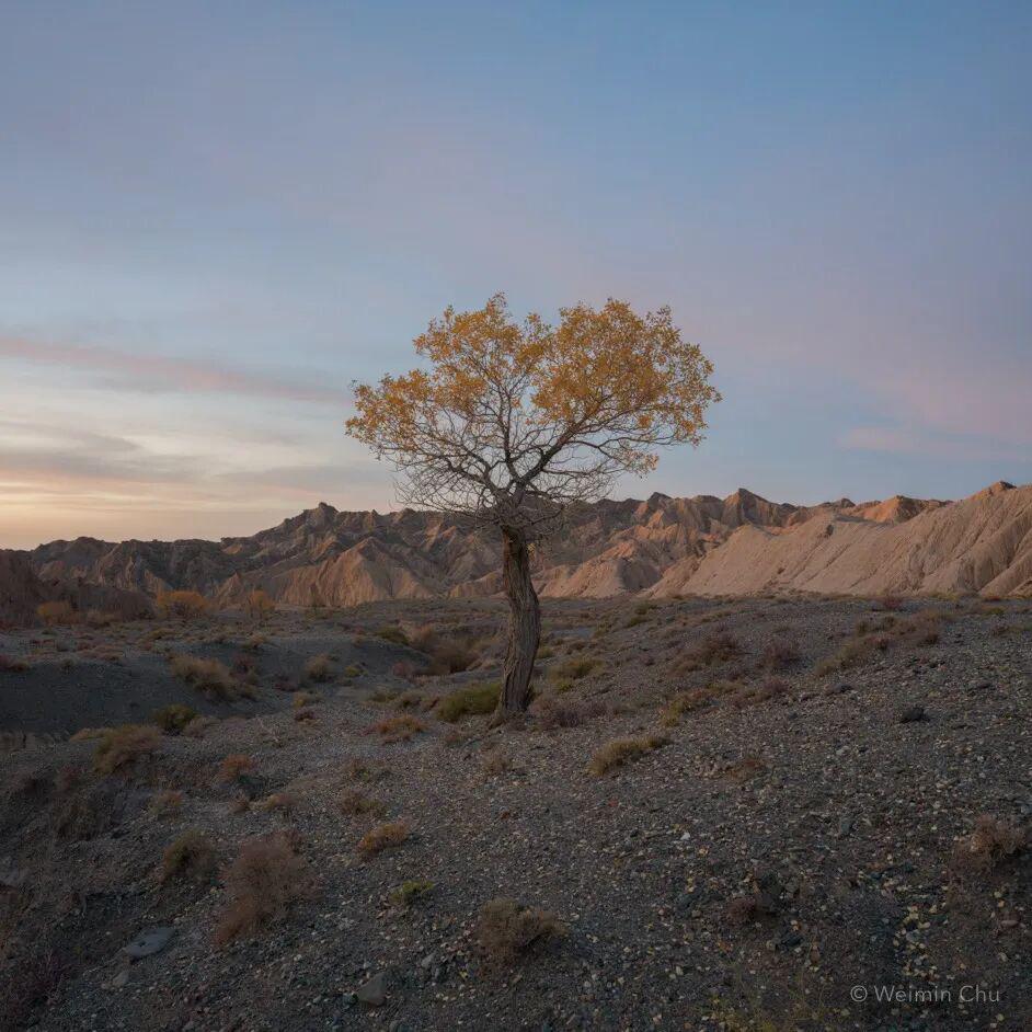 91精品国产91热久久久久福利