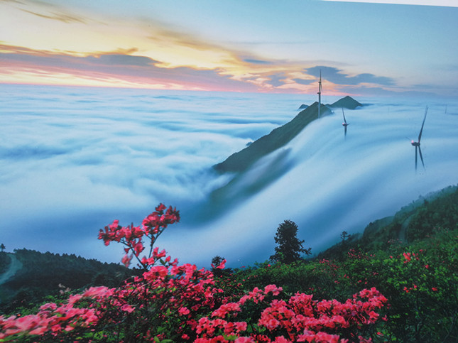 千叶未来cos海报