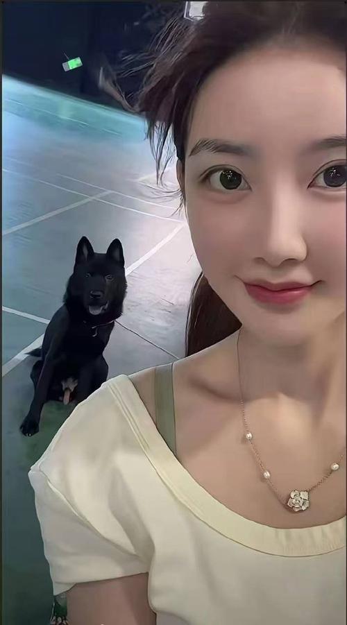 情深叉噢仓库海报