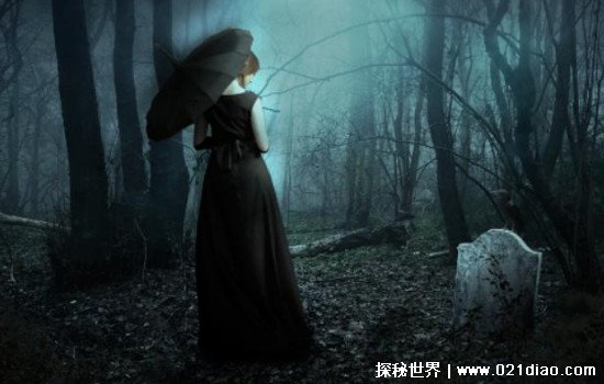 花火火影忍者海报